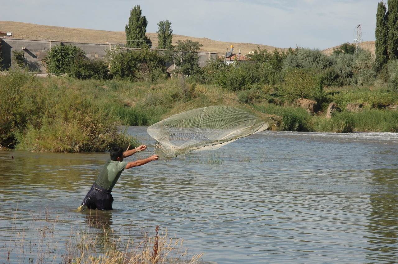 Agent Insights - You Can Always Catch More Fish With a Net Than With a Hook