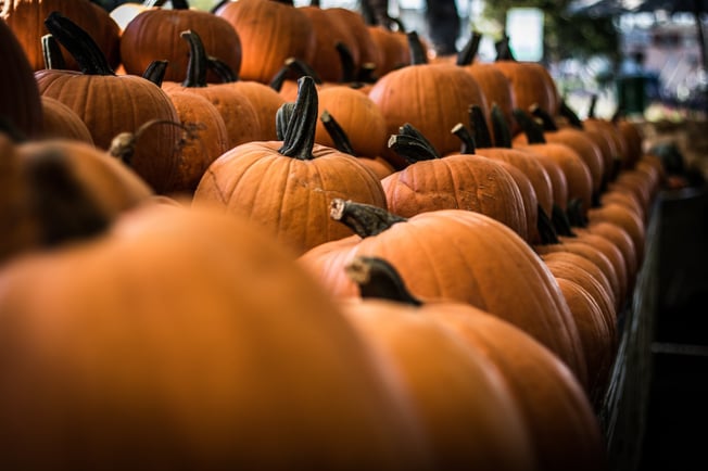 Real Estate Marketing Ideas for Halloween 2019