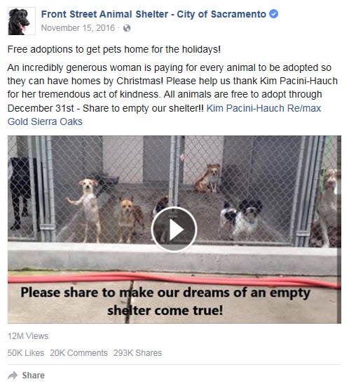 adopt.jpg