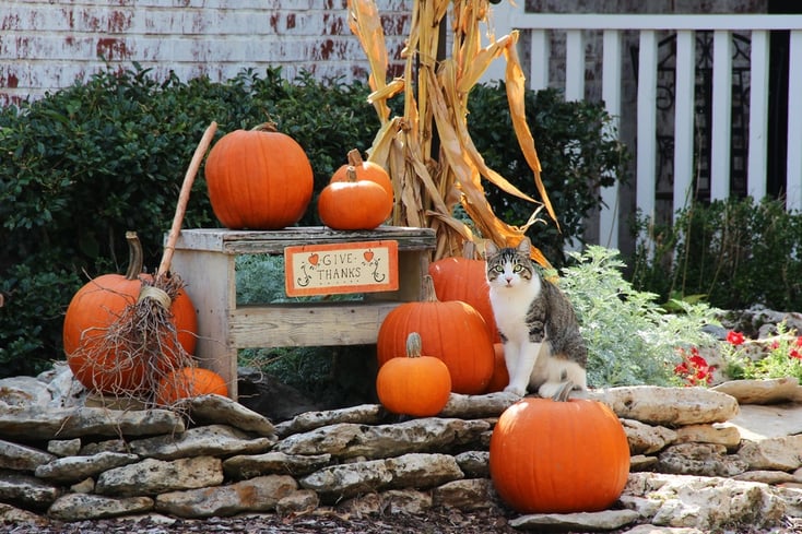 halloween-real-estate-leads.jpg