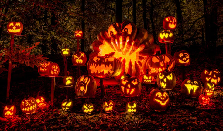 Halloween: Jack O'Lanterns Galore