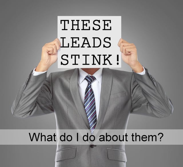 Do Real Estate Leads from the internet really stink?